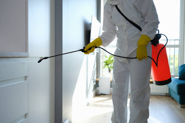 Home Mold Removal in Mount Pleasant, WI